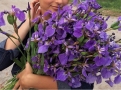 kosintseva Фиолетовое счастье