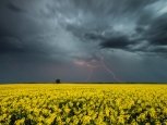 К шторму в Приамурье привела экстремальная жара