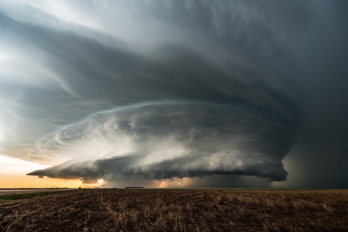 Фото: ShutterStock