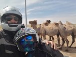 Как путешествовать по миру без особых затрат: благовещенка пересекла Азию на мотоцикле