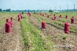 Дальневосточный гектар можно будет получить в землях Лесного фонда