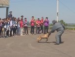 Десант полицейских из Гонконга высадился в Приамурье