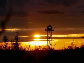 Инстаобзор АП: цветущие лотосы, купание на розовом слоне и золотой закат