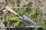 Военные строители отмечают координаты краснокнижных растений на космодроме