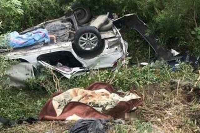 Фото: ДПС-Контроль, instagram.com