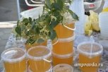 Амурский мед появится в торговых сетях под маркой «Дальневосточный гектар»