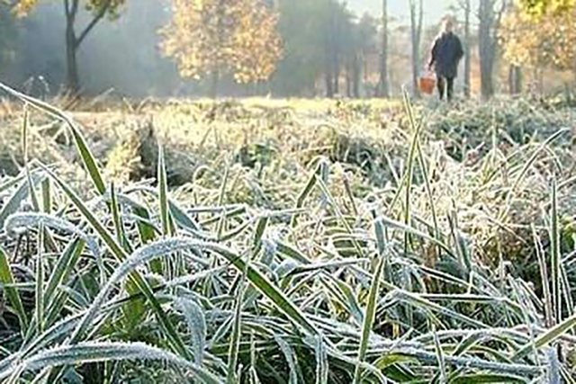 Фото: runews24.ru