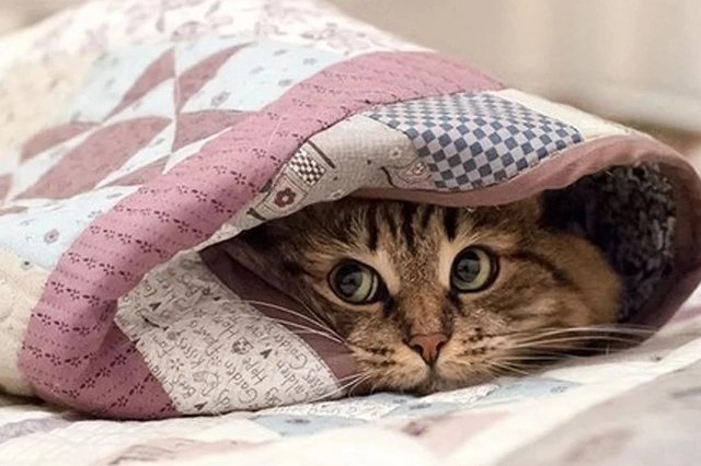 Фото: i.onthe.io