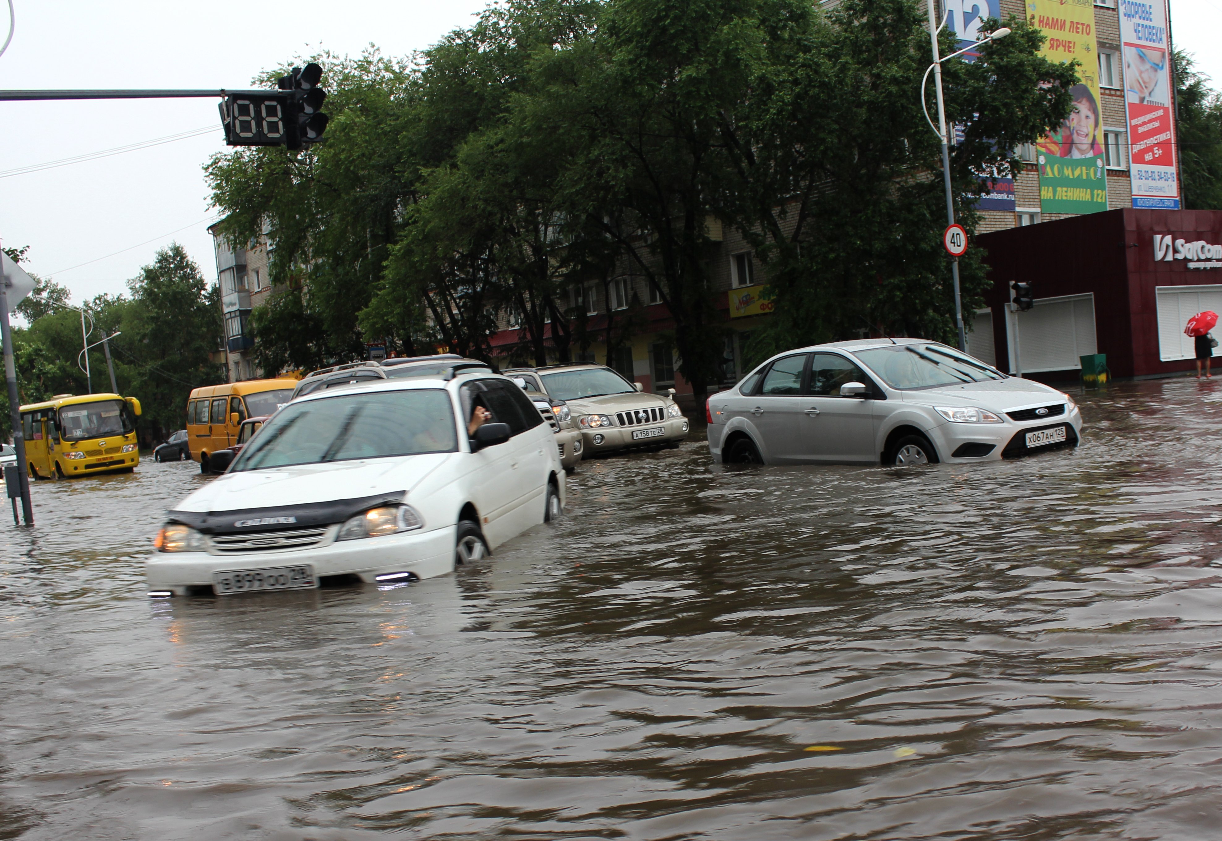 Фото: Архив АП