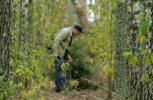 В тындинском лесу потерялся ягодник из Приморья