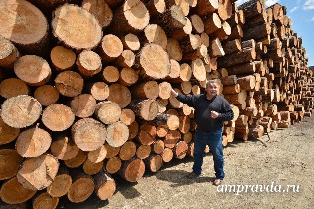С днем лесного хозяйства поздравление с С днем лесного хозяйства поздравление с