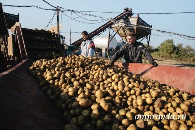 Прогноз на урожай в 2018 году в украине Прогноз на урожай в 2018 году в украине