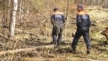 Пропавшего жителя Райчихинска нашли мертвым в лесу