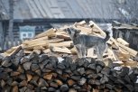 Амурский охотовед каждую осень рубит в лесу дрова для сельских пенсионеров