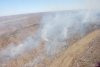Девять лесных пожаров тушат в Шимановском районе