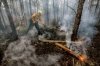 В Амурской области действуют 14 лесных пожаров