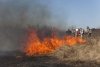 Гринпис России: «Страна горит, потому что ее поджигают»