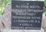 В Воронежской области найдены останки погибшего в годы войны амурчанина