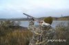 Амурских гусей-вредителей хотят занести в Красную книгу и запретить на них охоту