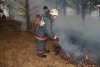 С 1 апреля в Приамурье введут особый противопожарный режим
