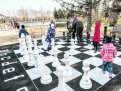 Дивный сквер, гигантские шахматы и вернисаж: в центре Ивановки появились новые арт-объекты