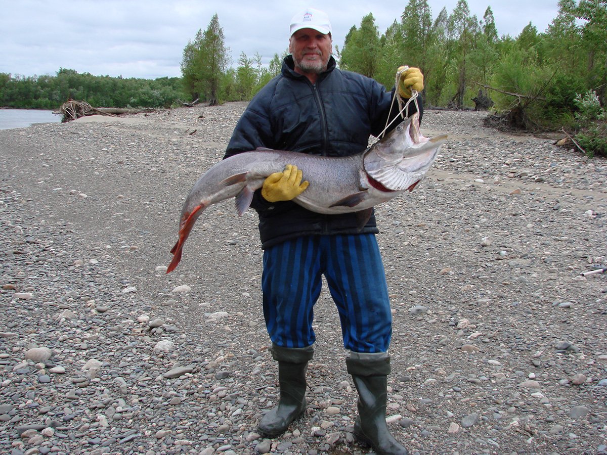Личный архив Синьковых