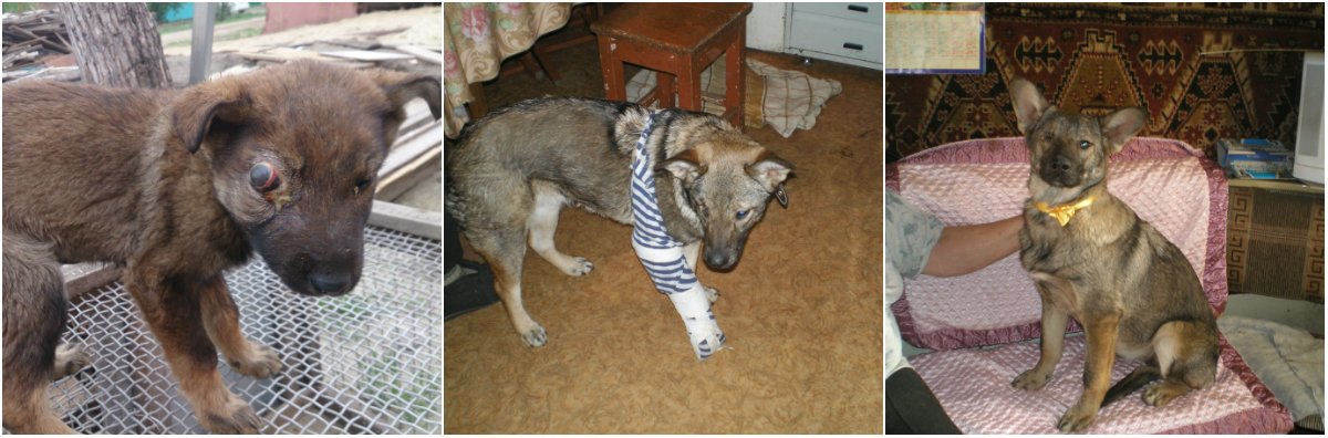 Лада до и после