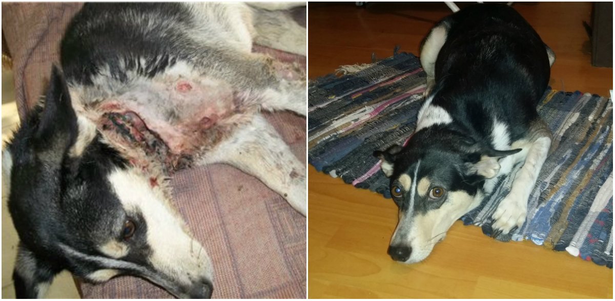 Рич до и после