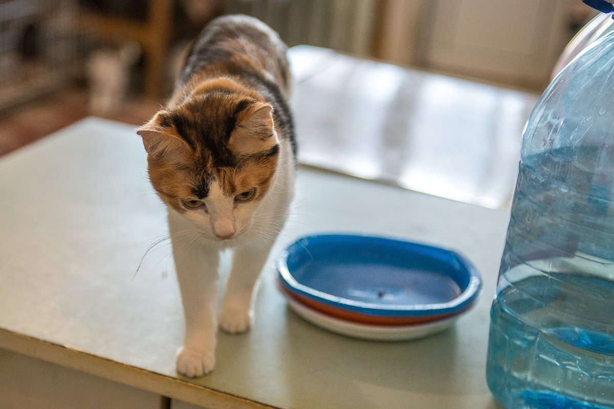 Фото: Андрей Ильинский
