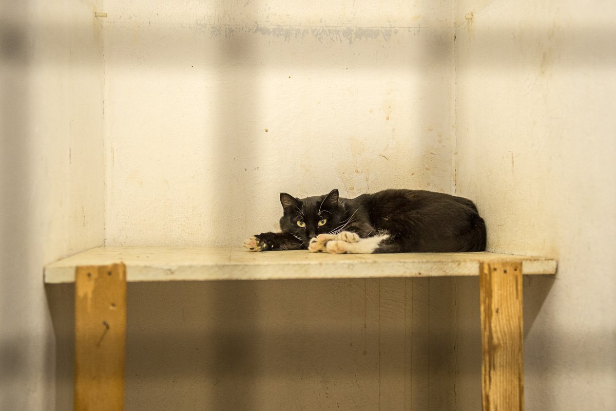 Фото: Андрей Ильинский