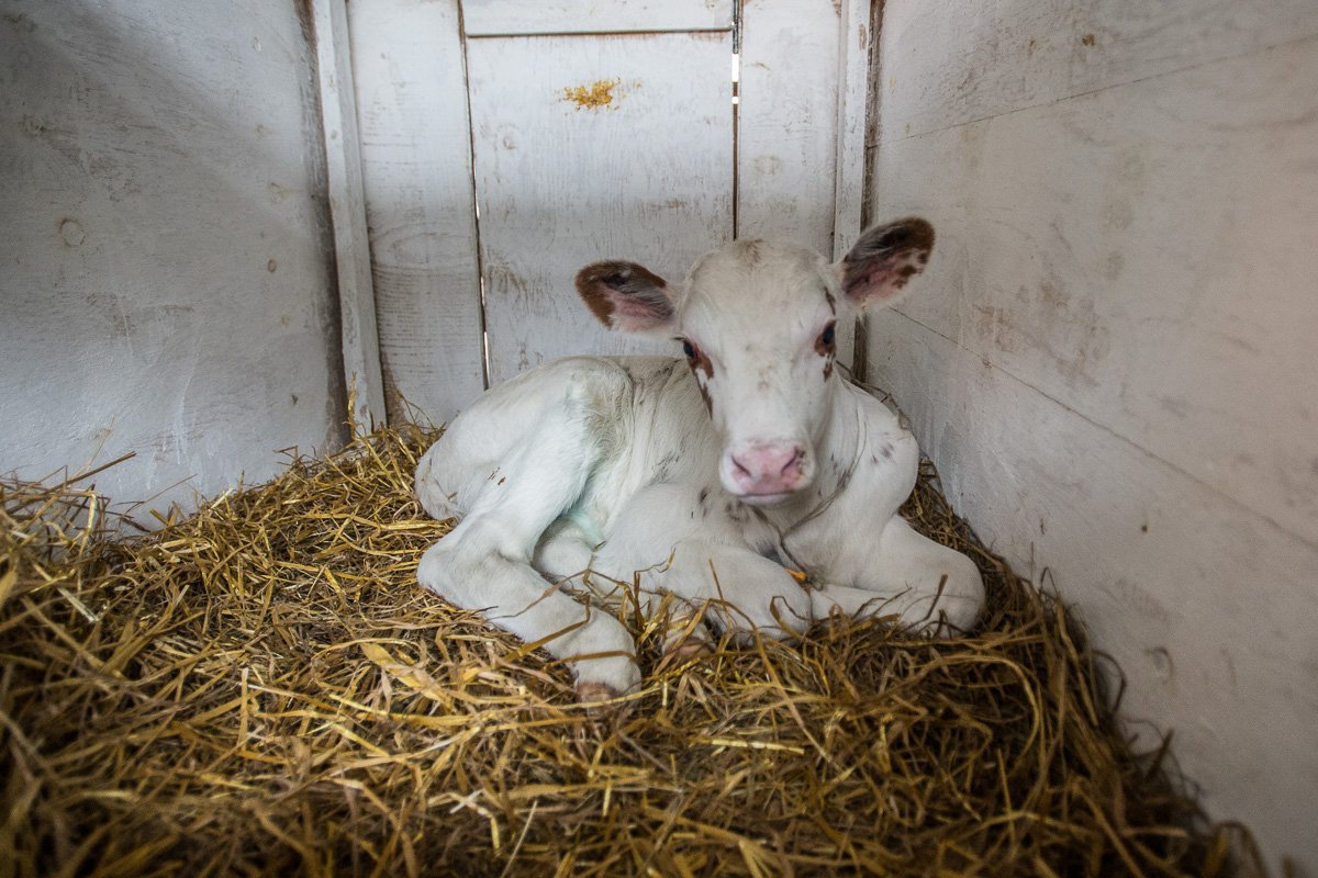 Фото: Андрей Ильинский