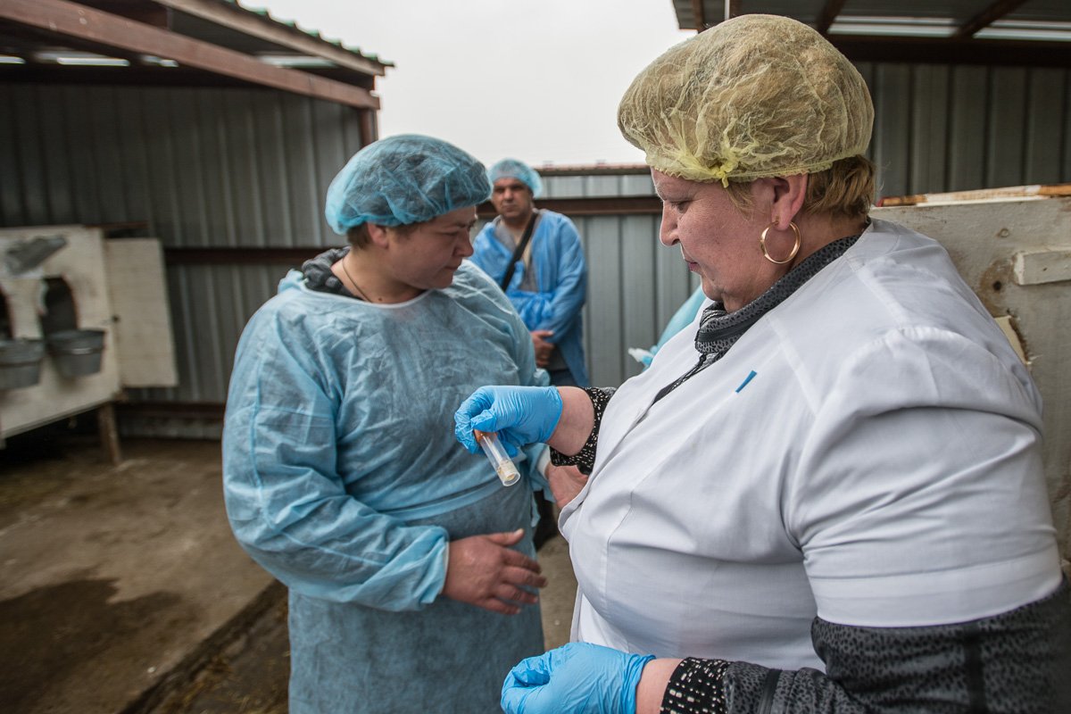 Фото: Андрей Ильинский