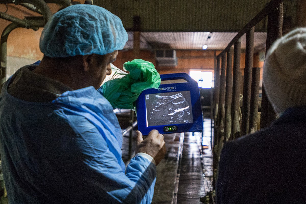 Фото: Андрей Ильинский