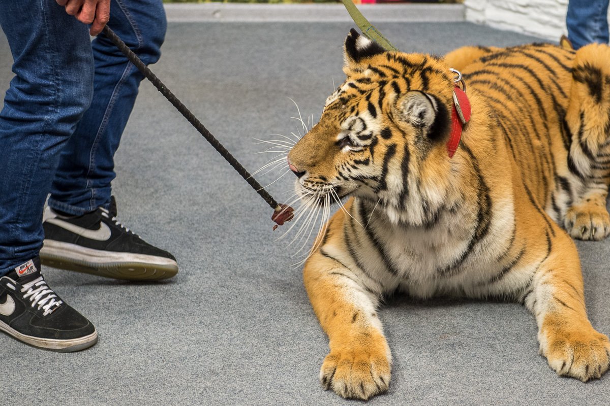 Фото: Андрей Ильинский