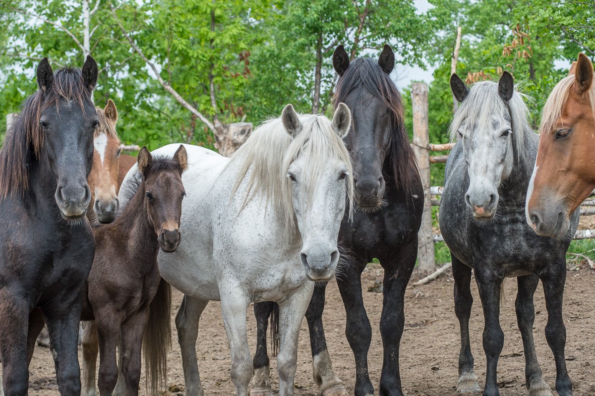 Фото: Андрей Ильинский