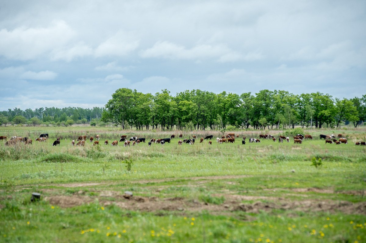 Фото: Андрей Ильинский
