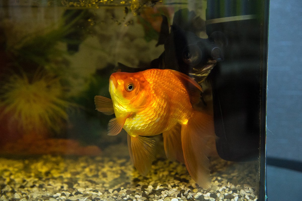 Фото: Андрей Ильинский