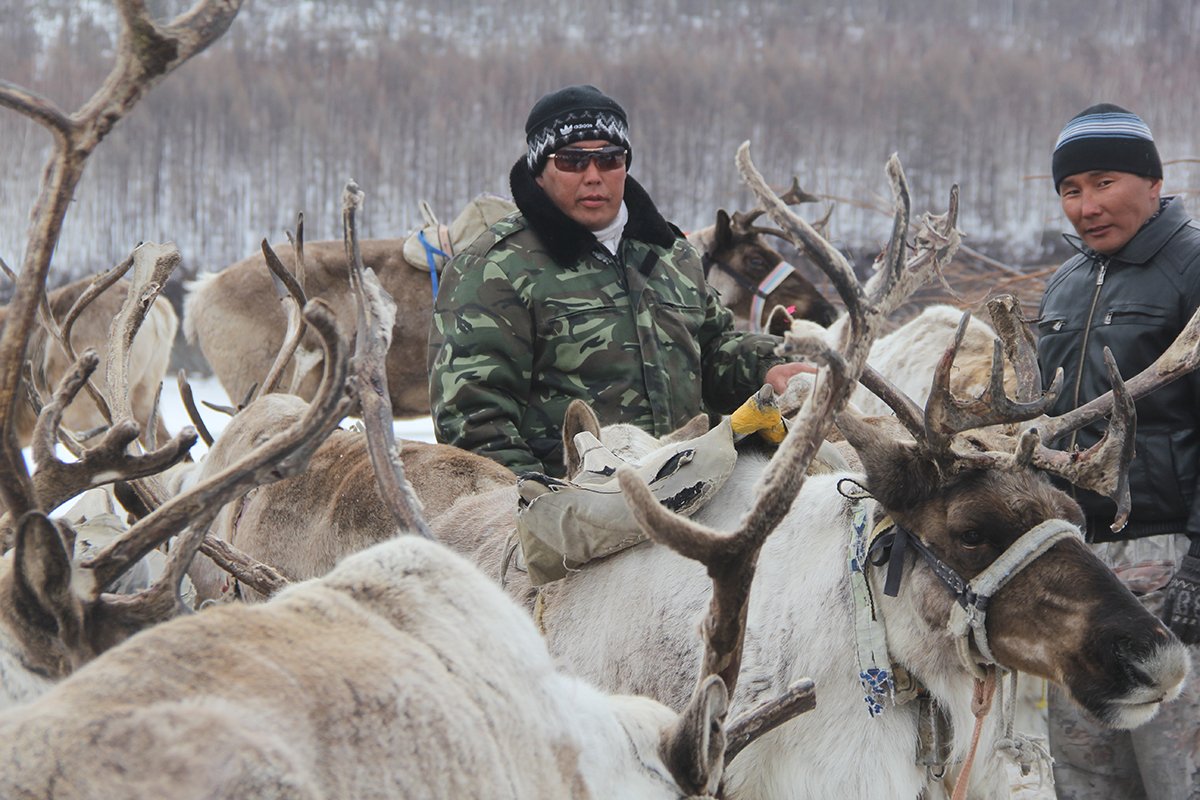 Победитель общего заезда оленевод Дмитрий Андреев с братом Иваном.