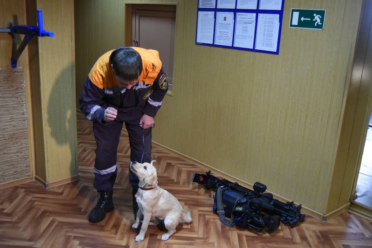 Фото: Дмитрий Тупиков