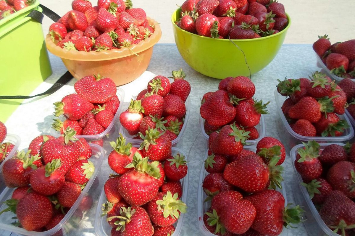 Из личного архива Романа Коваленко