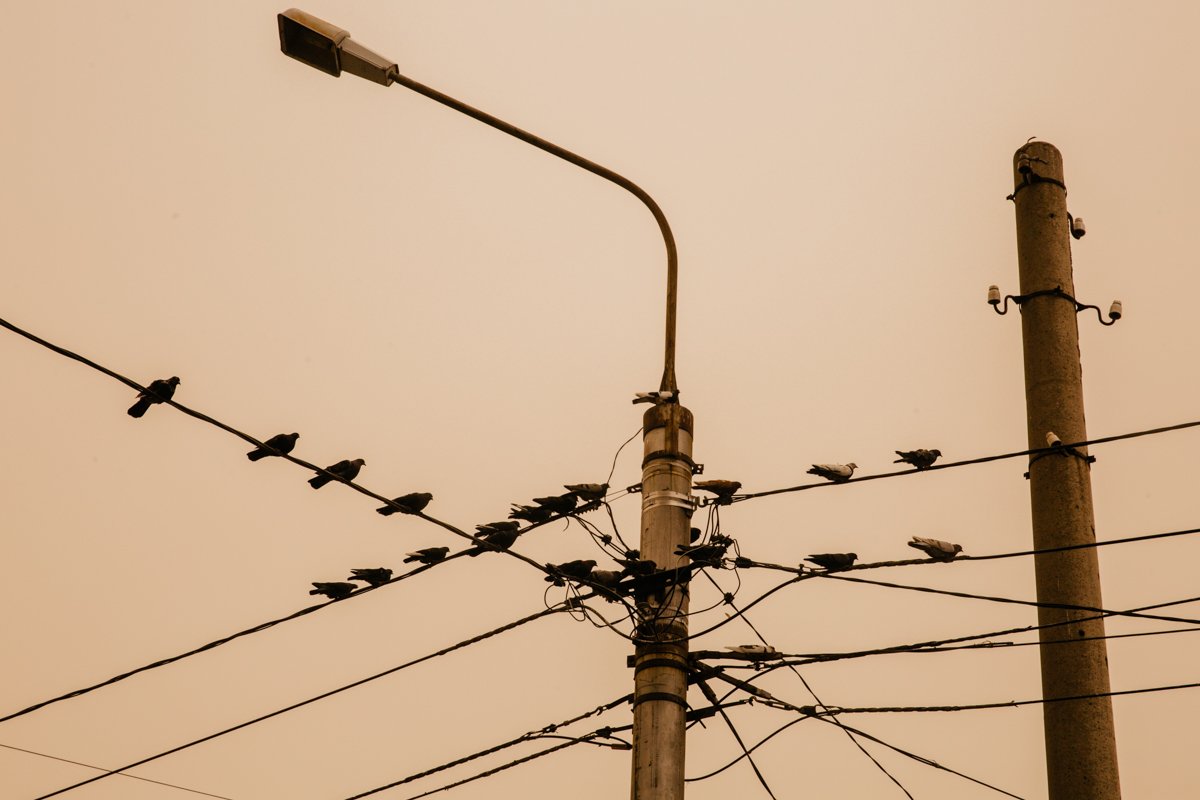 Фото: Сергей Лазовский