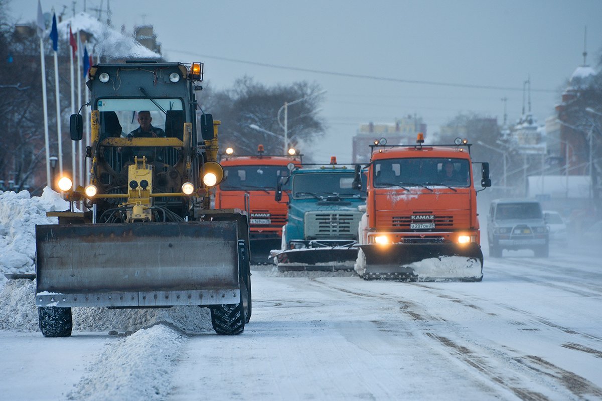 Фото: Архив АП