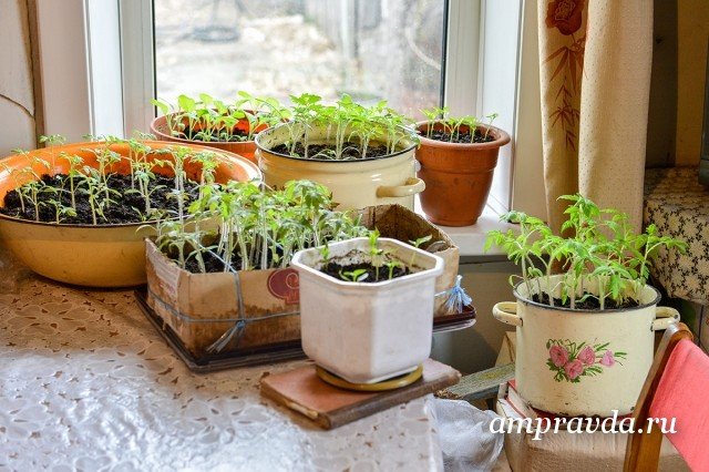 Фото: Андрей Ильинский