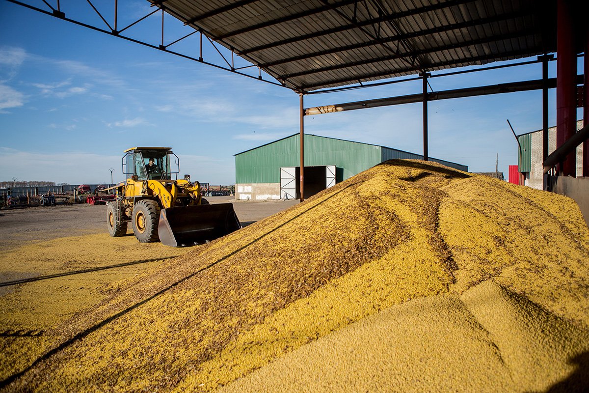 Фото: Игорь Агеенко