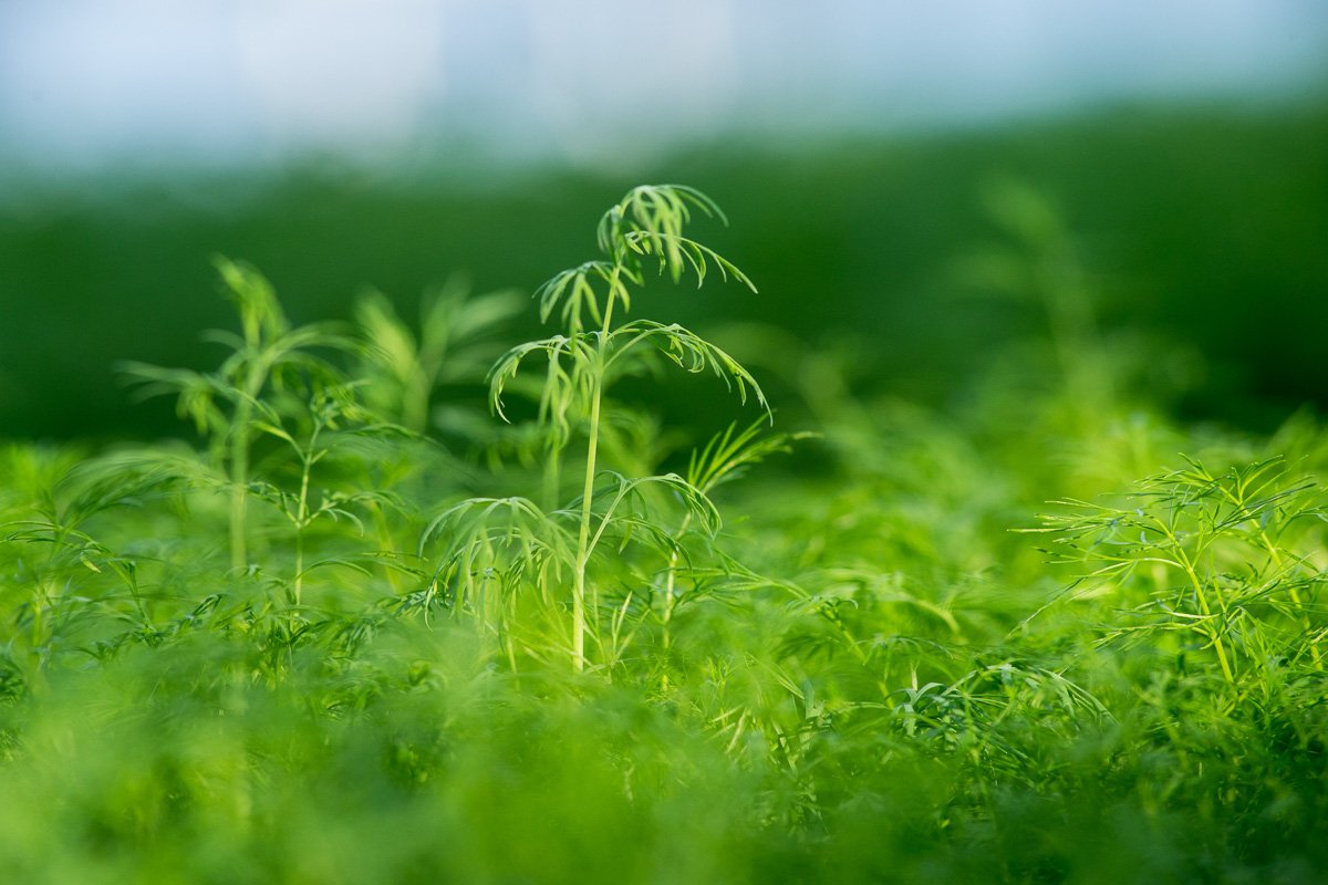 Фото: Андрей Ильинский