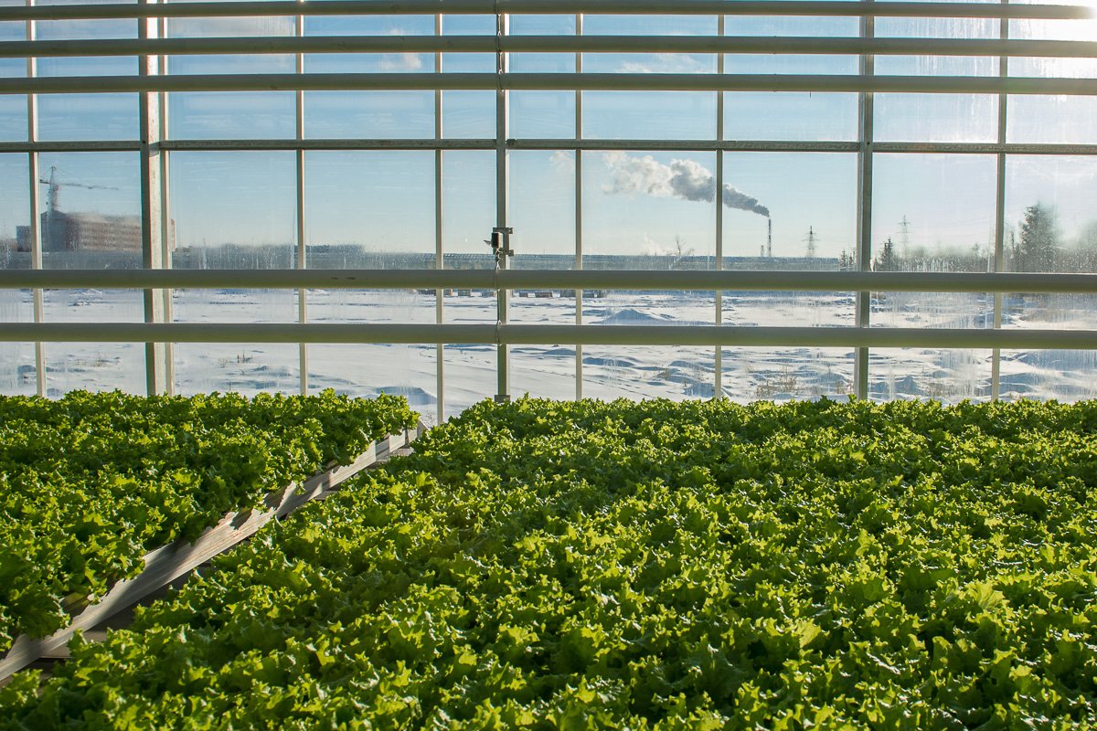 Фото: Андрей Ильинский