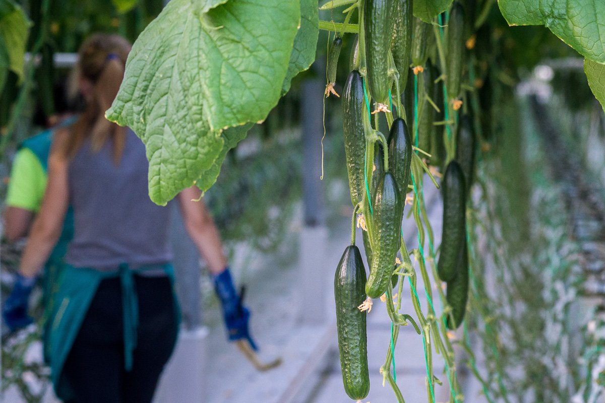 Фото: Андрей Ильинский