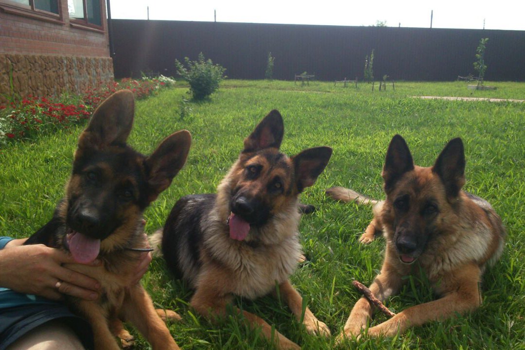 Из личного архива О. Туркова