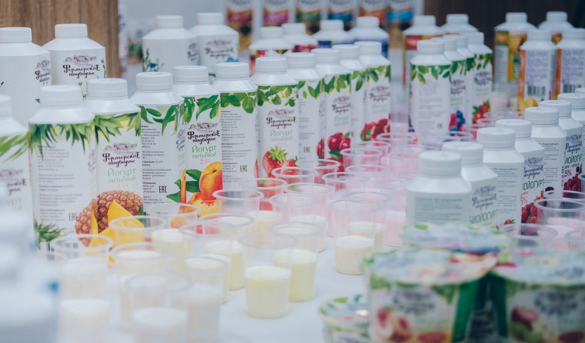 Фото: Дмитрий Тупиков