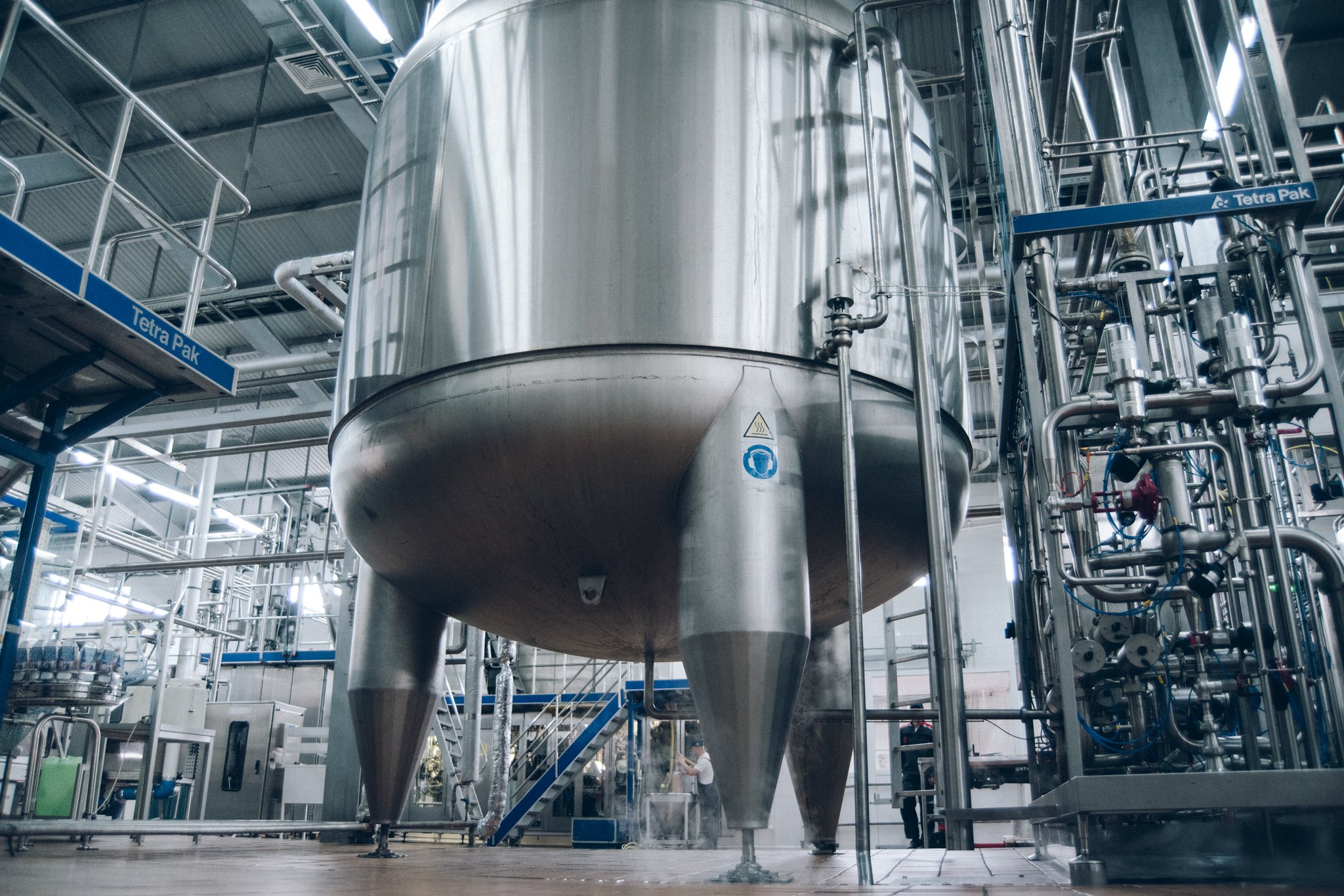 Фото: Дмитрий Тупиков